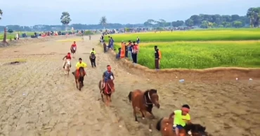 পৌষ সংক্রান্তিতে নড়াইলে ঐতিহ্যবাহী ঘোড়দৌড়, দর্শনার্থীর ঢল