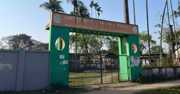 বাকৃবিতে অসম্পূর্ণ প্ল্যান্ট দেখিয়েই গবেষণা দাখিল