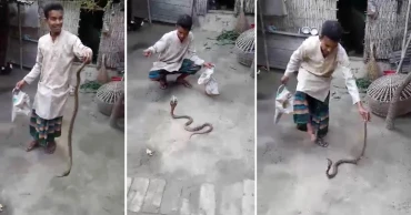 পোষা সাপের কামড়েই সাপুড়ের মৃত্যু