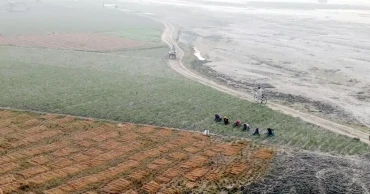 বন্যার পলিতে উর্বর উত্তরের চরাঞ্চল, চাষাবাদের ধুম
