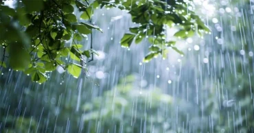 লঘুচাপটি দুর্বল হলেও সারা দেশে মাঝারি থেকে ভারী বৃষ্টির পূর্বাভাস