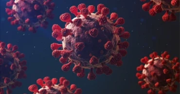 দেশে ২৪ ঘণ্টায় করোনায় আক্রান্ত ১, নমুনা পরীক্ষা ৯