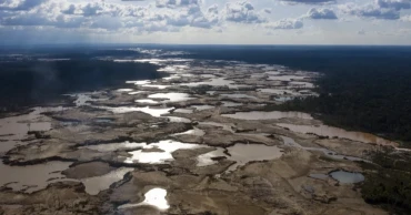 অস্তিত্ব বাঁচাতে মানবাধিকার সংস্থার দ্বারস্থ আমাজনের আদিবাসীরা