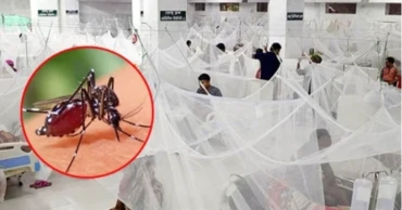 ডেঙ্গু: আরও ৩ জনের মৃত্যু, হাসপাতালে ভর্তি ৩৬৩