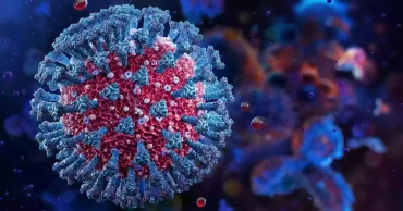 দেশে আরও সাতজনের শরীরে করোনা শনাক্ত