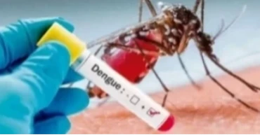দেশে ডেঙ্গুতে আরও একজনের মৃত্যু, আক্রান্ত ৩৯৩