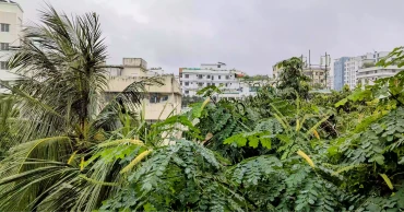 ঢাকার বায়ুমানে আজ ভোরের বৃষ্টির প্রভাব