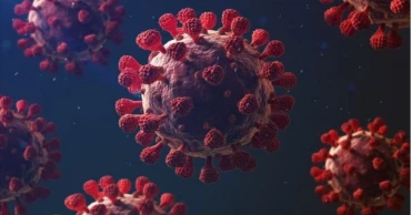 করোনায় আরও এক মৃত্যু, শনাক্ত ২৫