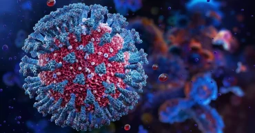 দেশে আরও ১০ জনের শরীরে করোনা শনাক্ত