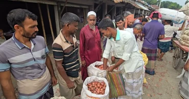 দাম কমে যাওয়ায় ফরিদপুরের পেঁয়াজ চাষিরা বিপাকে