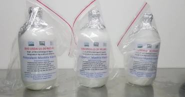 গবাদিপশুর ম্যাসটাইটিস ভ্যাক্সিন আবিষ্কার করলেন বাকৃবির অধ্যাপক