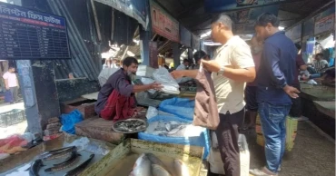 চুয়াডাঙ্গায় বৈশাখে ইলিশ বিক্রিতে ভাটা, হতাশ ব্যবসায়ীরা