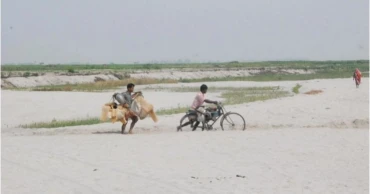 শুকিয়ে যাওয়া তিস্তার বুকে লাখো মানুষের হাহাকার