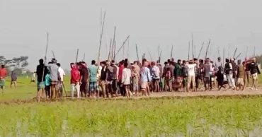 সুনামগঞ্জে গরুর ধান খাওয়া নিয়ে দুই গ্রামবাসীর সংঘর্ষ