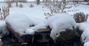 তুষারপাতের কবলে যুক্তরাষ্ট্রের ৫০ অঙ্গরাজ্য