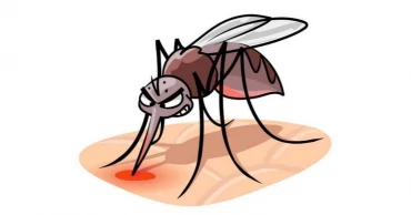 ডেঙ্গুতে মৌসুমের সর্বোচ্চ ১২ জনের মৃত্যু, আক্রান্ত ৭৪০