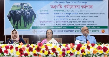 মহিষের দইকে জিআই পণ্যের স্বীকৃতি দিতে কাজ করতে হবে: প্রাণিসম্পদ উপদেষ্টা