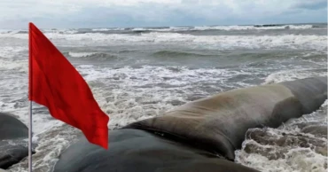 নিম্নচাপের প্রভাবে ঝড়োবৃষ্টি ও উপকূলীয় অঞ্চলে জলোচ্ছ্বাসের শঙ্কা