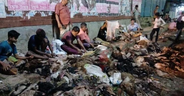 চট্টগ্রাম বিভাগে সংরক্ষণ করা হয়েছে ৭ লাখ ৭৪ হাজার কোরবানির কাঁচা চামড়া