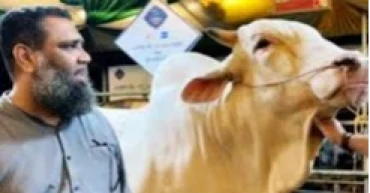 মানি লন্ডারিং মামলায় সাদিক এগ্রোর চেয়ারম্যান গ্রেপ্তার