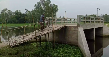 রংপুরে বাঁশের মই বেয়ে সেতু পারাপার, চরম দুর্ভোগে ৫ গ্রামের মানুষ