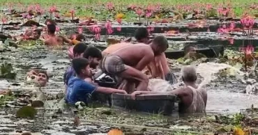 গাজীপুরে শাপলা তুলতে গিয়ে বিলে ডুবে দুই বন্ধু নিহত