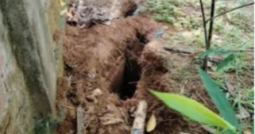 কবরস্থান থেকে ৫ কঙ্কাল চুরি, এলাকাবাসীর মধ্যে আতঙ্ক