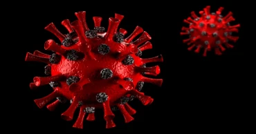 দেশে ২৪ ঘণ্টায় করোনায় আক্রান্ত ১, নমুনা পরীক্ষা ১৭