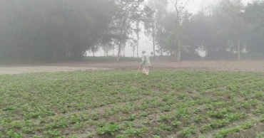 উত্তরে হাড়কাঁপানো শীত, ২০ দিনে ২৮ জনের মৃত্যু