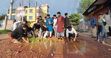 রংপুরে ব্যাস্ততম সড়কে ধানের চারা রোপণ করে প্রতিবাদ