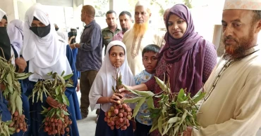 যশোরে এতিম-অনাথ শিক্ষার্থীদের মাঝে লিচু বিতরণ উপজেলা নির্বাহী কর্মকর্তার