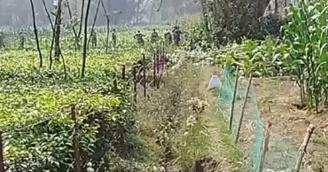 দহগ্রাম সীমান্তে কাঁটাতারের বেড়া নির্মাণের চেষ্টা, বিজিবির বাধা