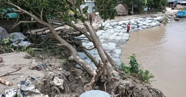 ভাঙন ঝুঁকিতে দৌলতদিয়ার সবগুলো ফেরিঘাট