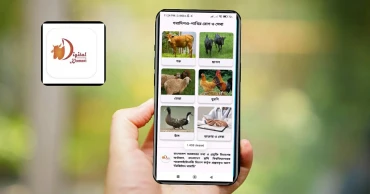 ডিজিটাল খামারি: বাকৃবি গবেষকের অ্যাপে বিনামূল্যে প্রাণিসেবা