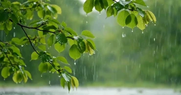 দেশে বর্ষাকাল শেষ হলেও অক্টোবরে কেন বৃষ্টি?