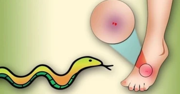 মেহেরপুরে সাপের কামড়ে কৃষকের মৃত্যু