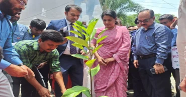 সাভার ও আশপাশের এলাকায় ইটভাটা নিষিদ্ধ হবে: পরিবেশ উপদেষ্টা