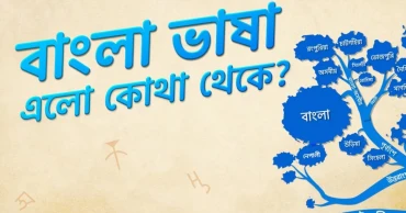 বাংলা ভাষার উৎপত্তি ও ক্রমবিকাশ: কোথা থেকে এলো বাংলা ভাষা