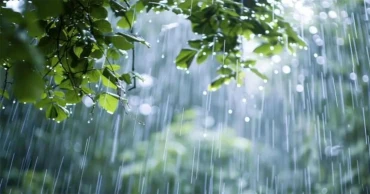 ঢাকাসহ ৫ বিভাগে ভারী বৃষ্টির পূর্বাভাস, ভূমিধসের সতর্কতা