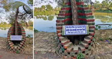 খালেদা জিয়া চলে গেলেন, রয়ে গেল তার রোপিত নিমগাছটি