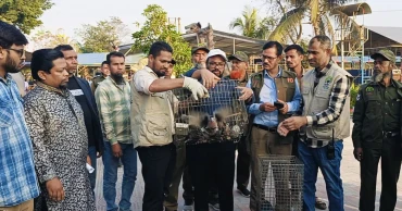 চিড়িয়াখানা থেকে ১০ প্রজাতির ৩১ বন্যপ্রাণী উদ্ধার ও অবমুক্ত