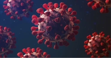 করোনায় আরও দুই মৃত্যু, শনাক্ত ৪