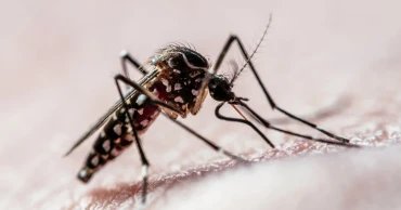 খুলনা বিভাগে ডেঙ্গু পরিস্থিতির অবনতি, বাড়ছে উদ্বেগ