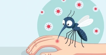 ডেঙ্গুতে আরও তিনজনের মৃত্যু, হাসপাতালে ভর্তি ৪০৯