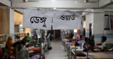 11 new dengue cases reported in 24hrs