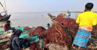 Fishermen net hilsa again after 58-day fishing ban in Bay