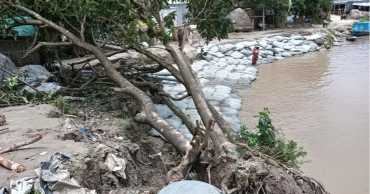 All Daulatdia ferry terminals face erosion threat as Padma swells