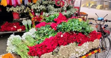 Fall in rose prices worries Gadkhali growers
