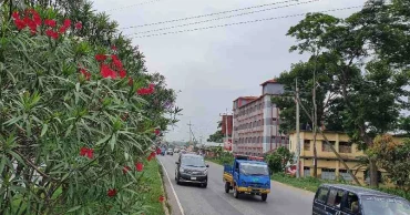 Road safety still elusive in Cumilla: 141 killed in 8 months