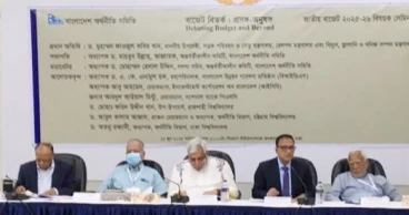 Politicians, bureaucrats unwilling to end corruption: Energy Adviser